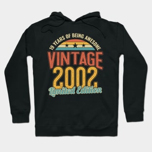 19th Birthday 19 Years of Being Awesome 2002 Hoodie